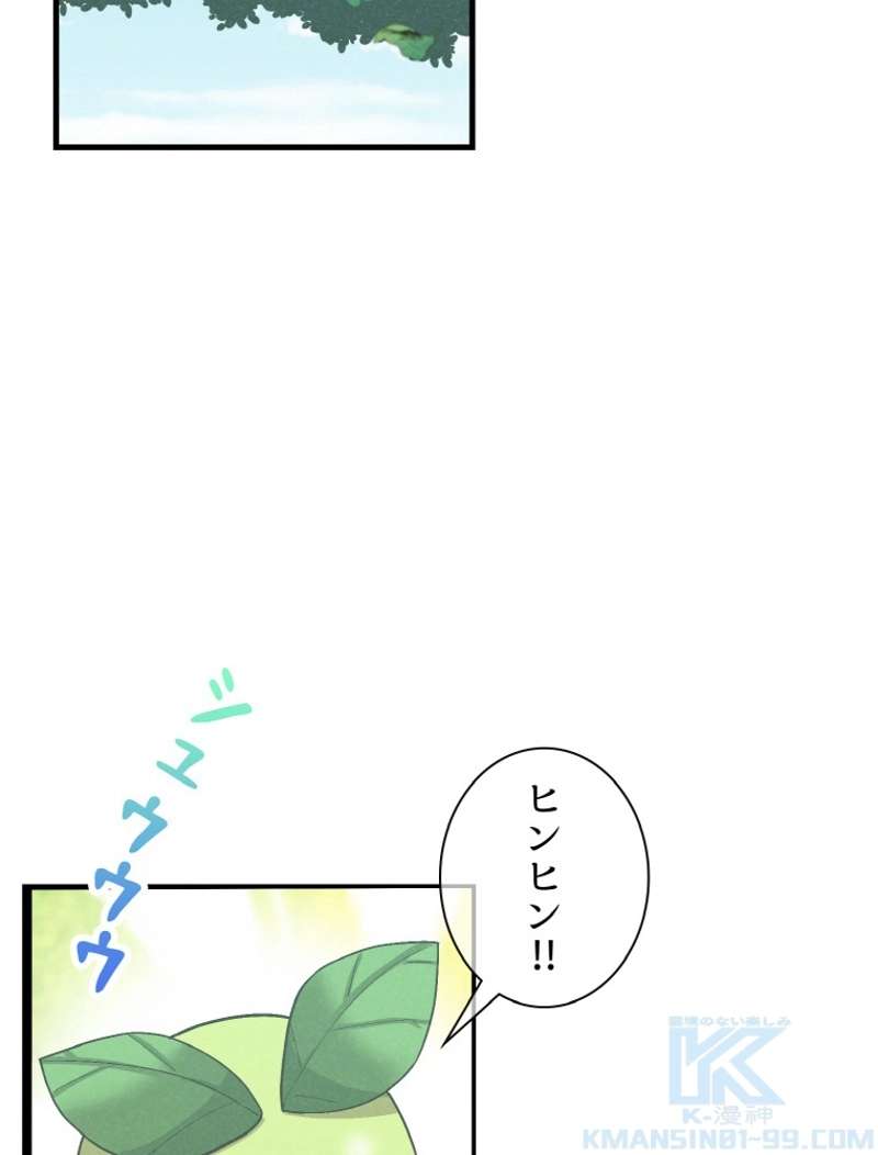 P61
