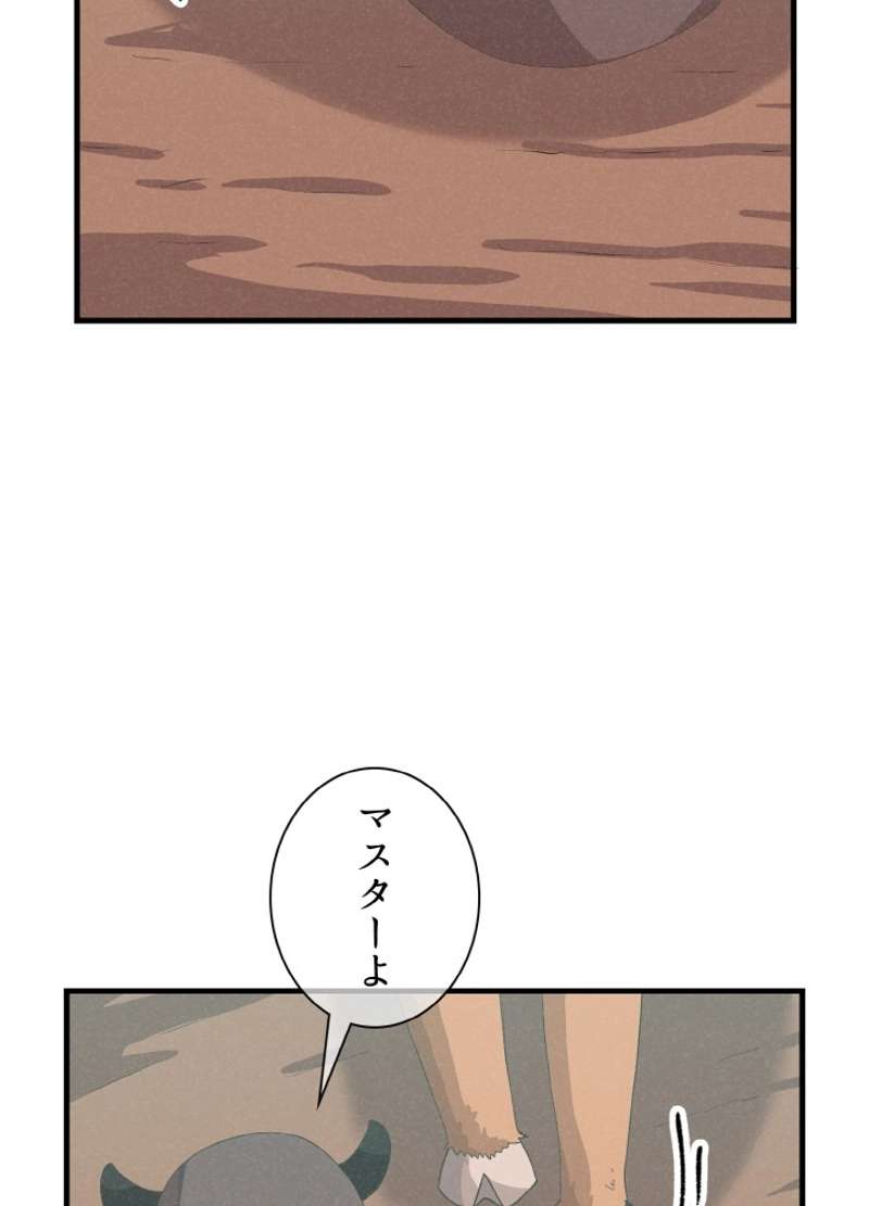 P44