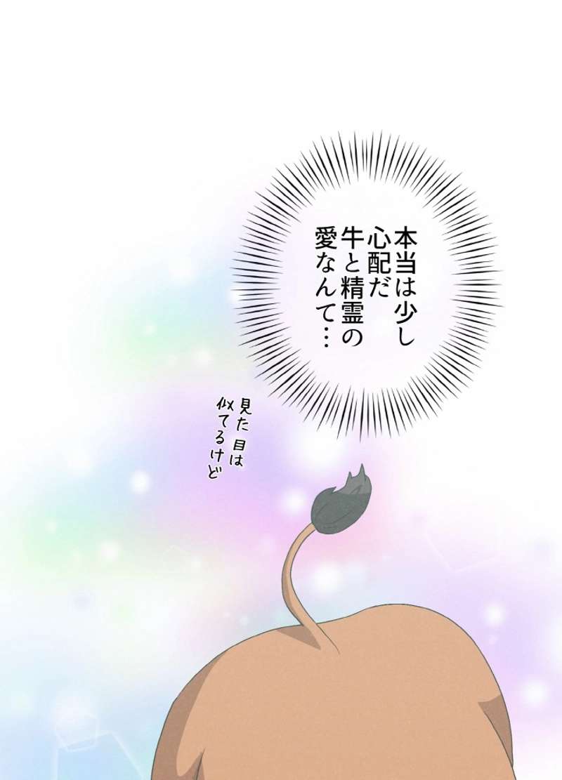P53