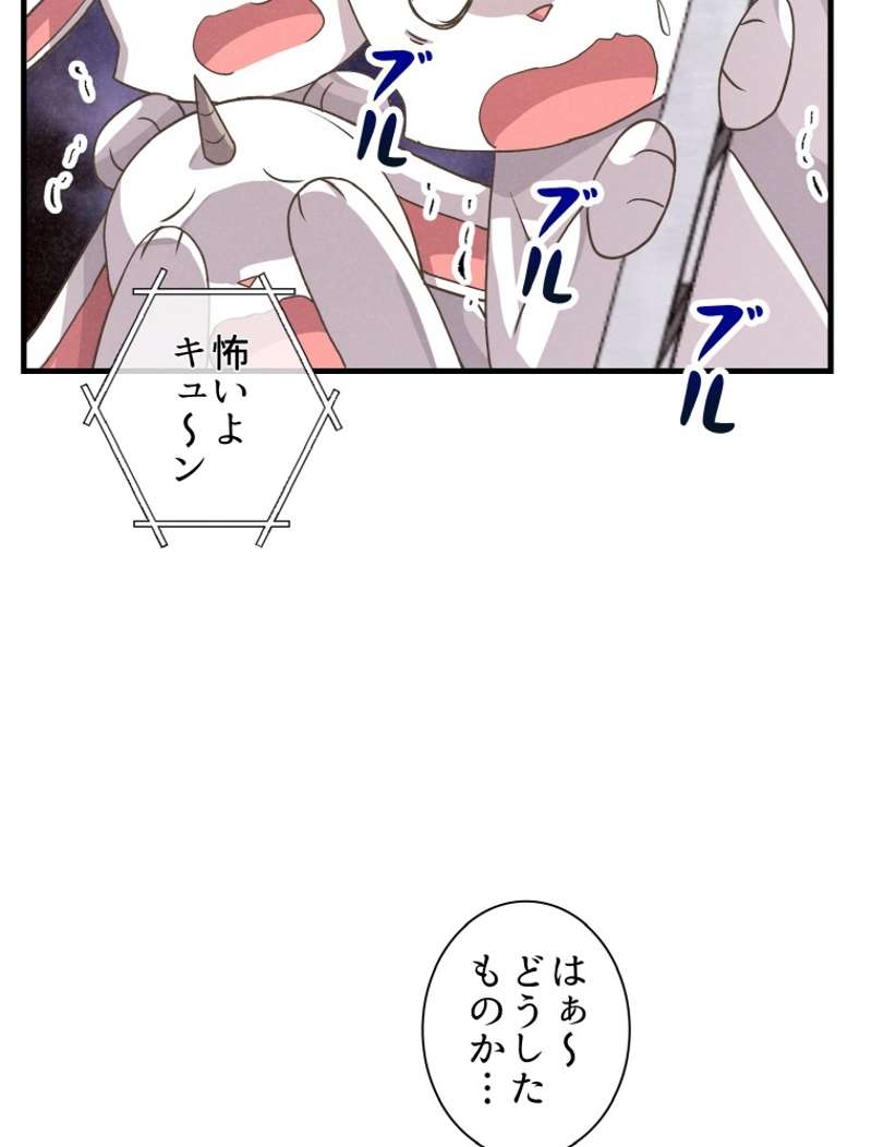 P41