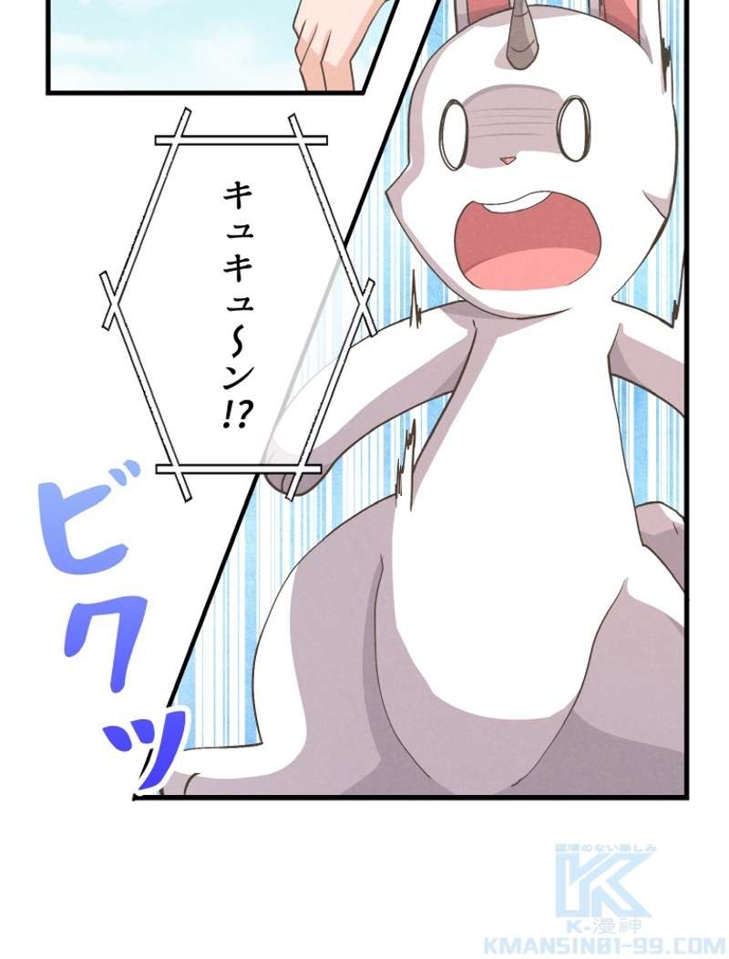 P61
