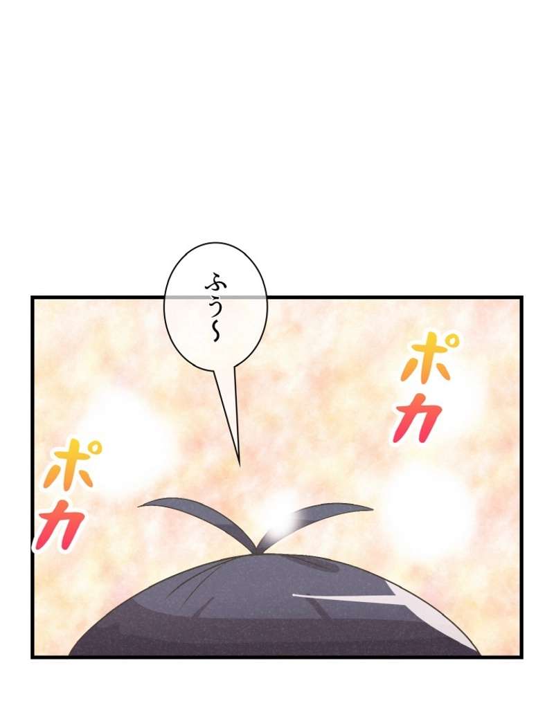 P81