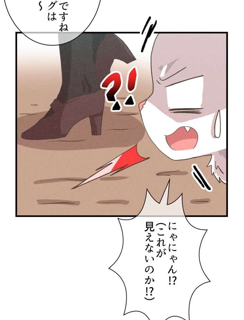 P81
