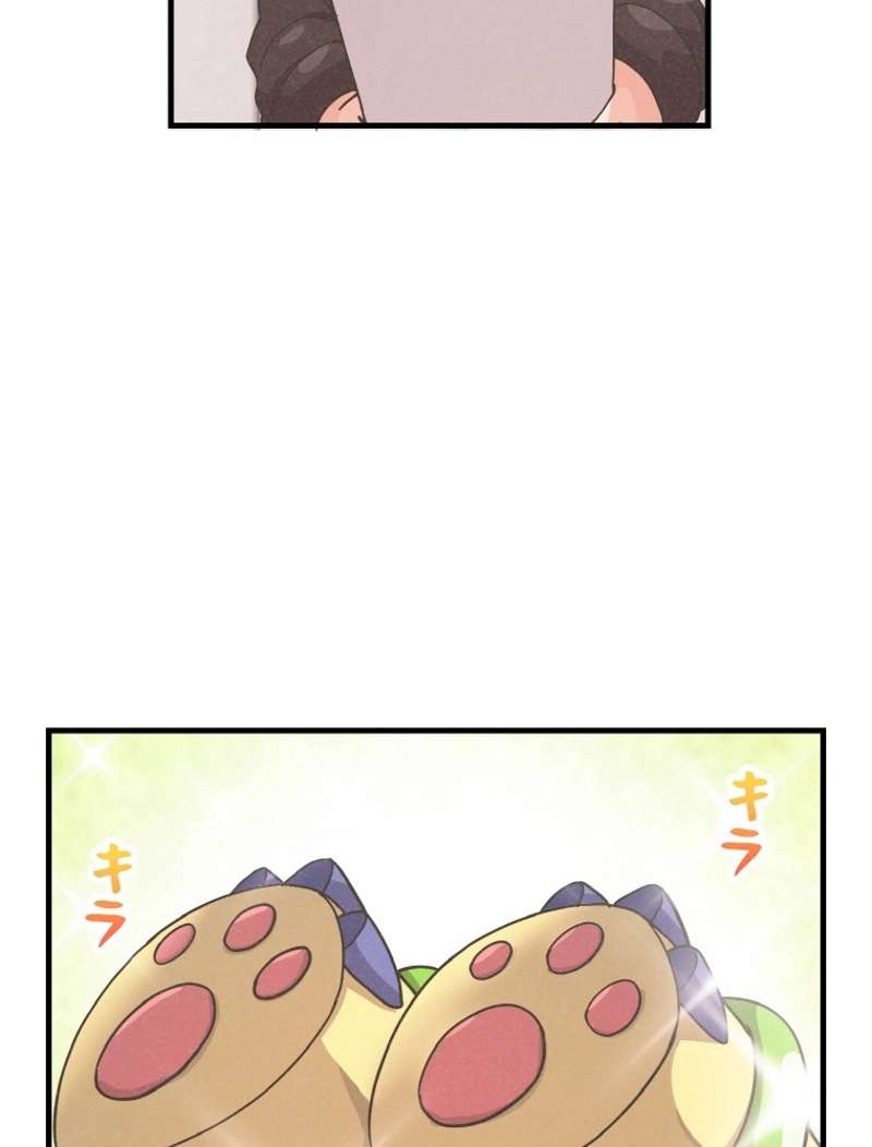 P81