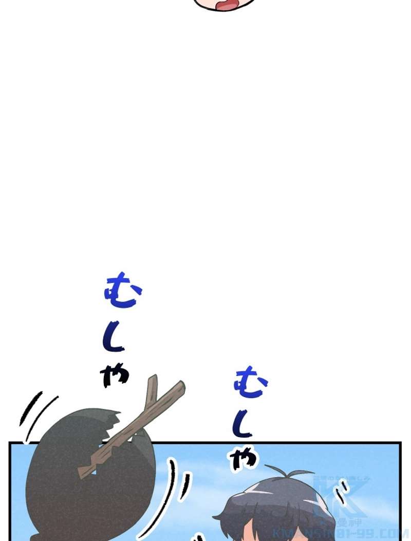 P61