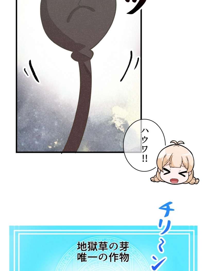 P65