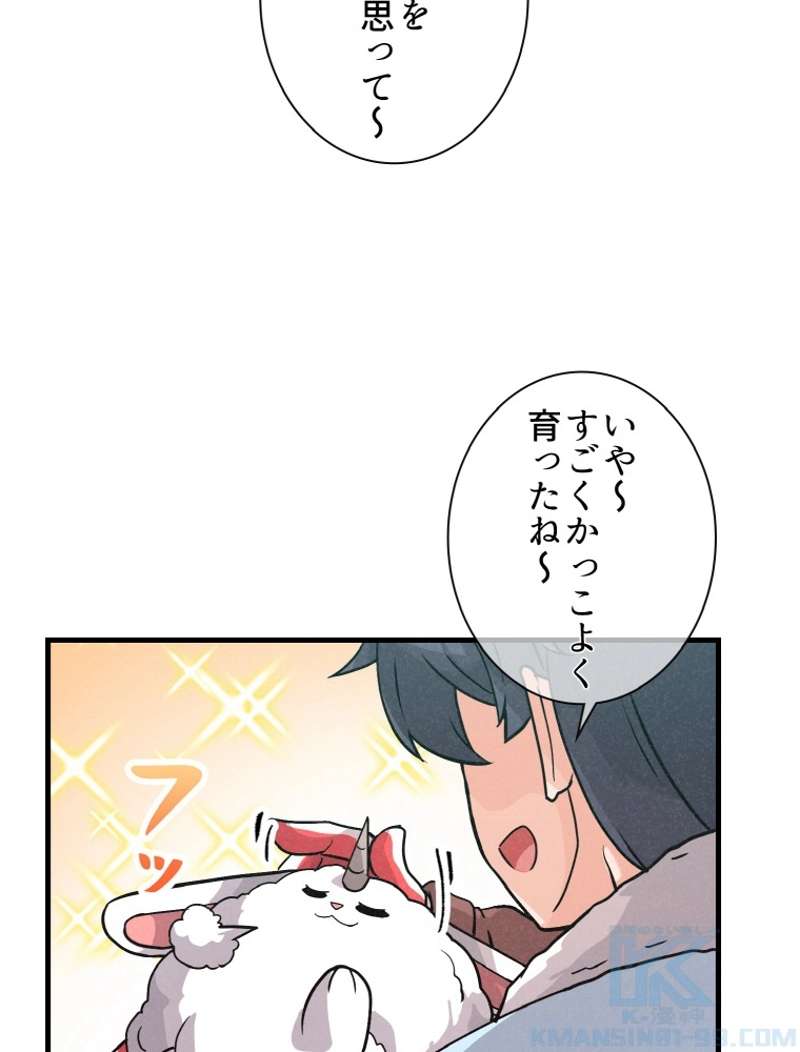 P41