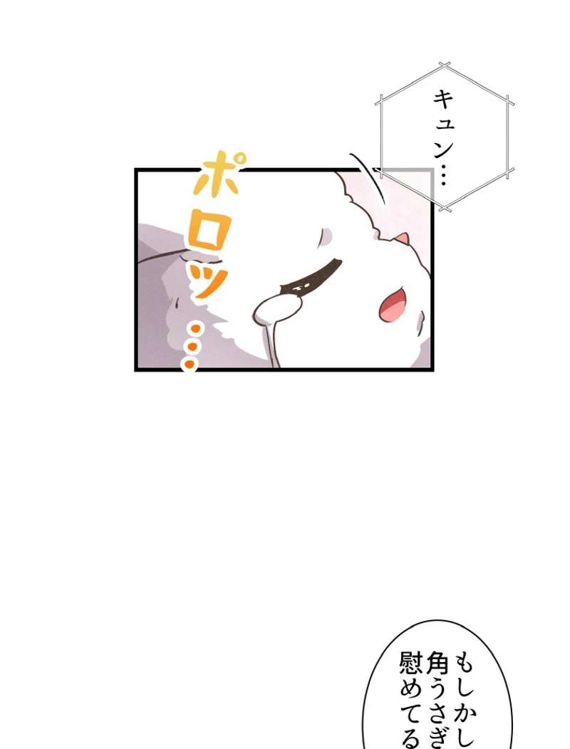 P66