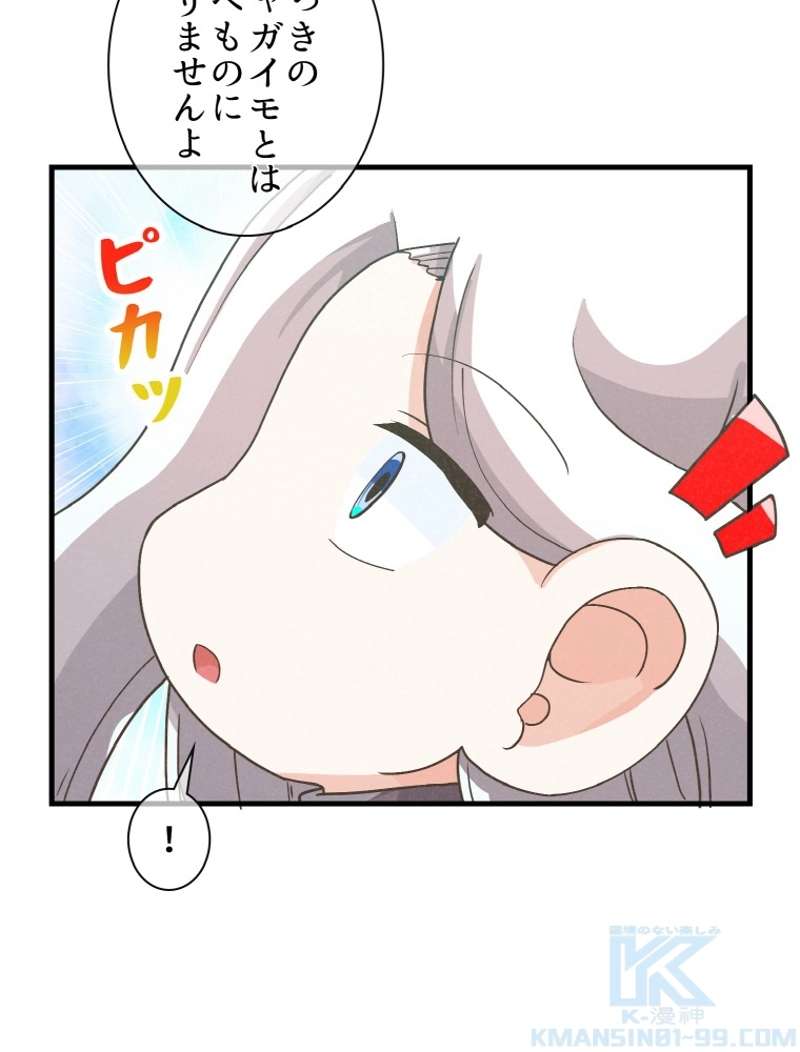 P61