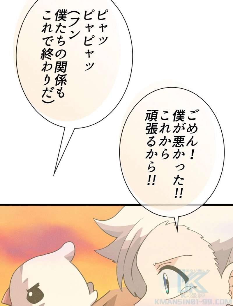 P61
