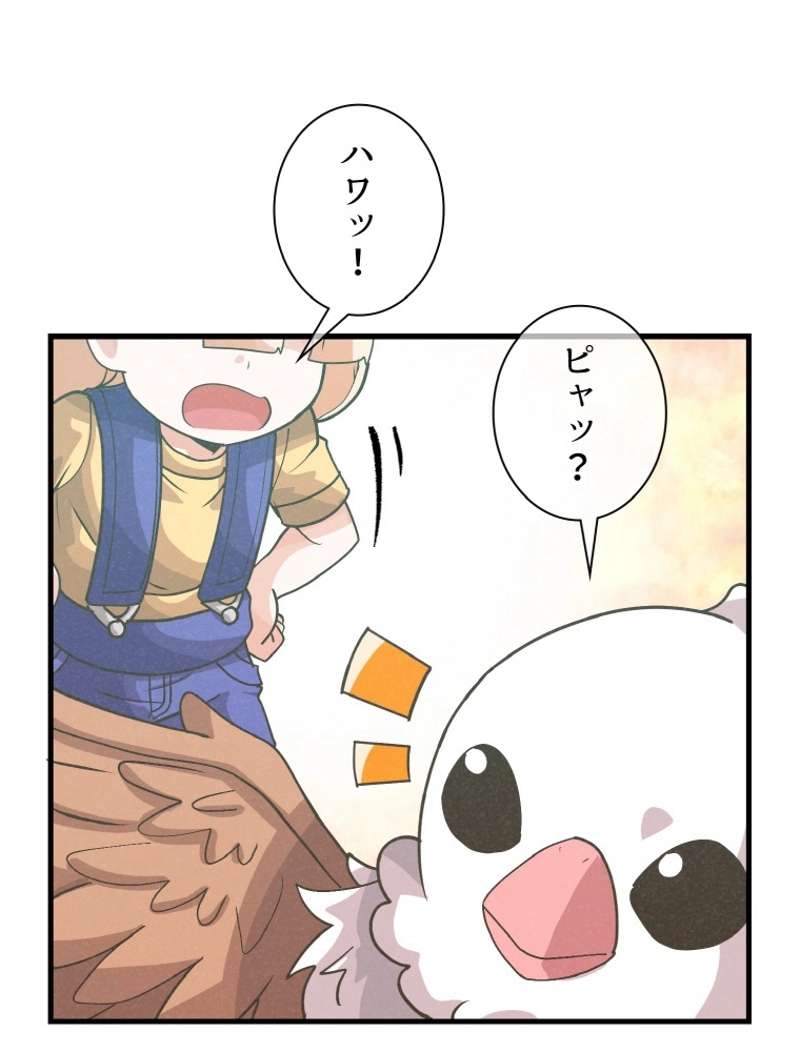 P66