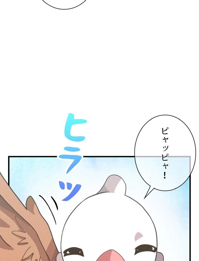 P63