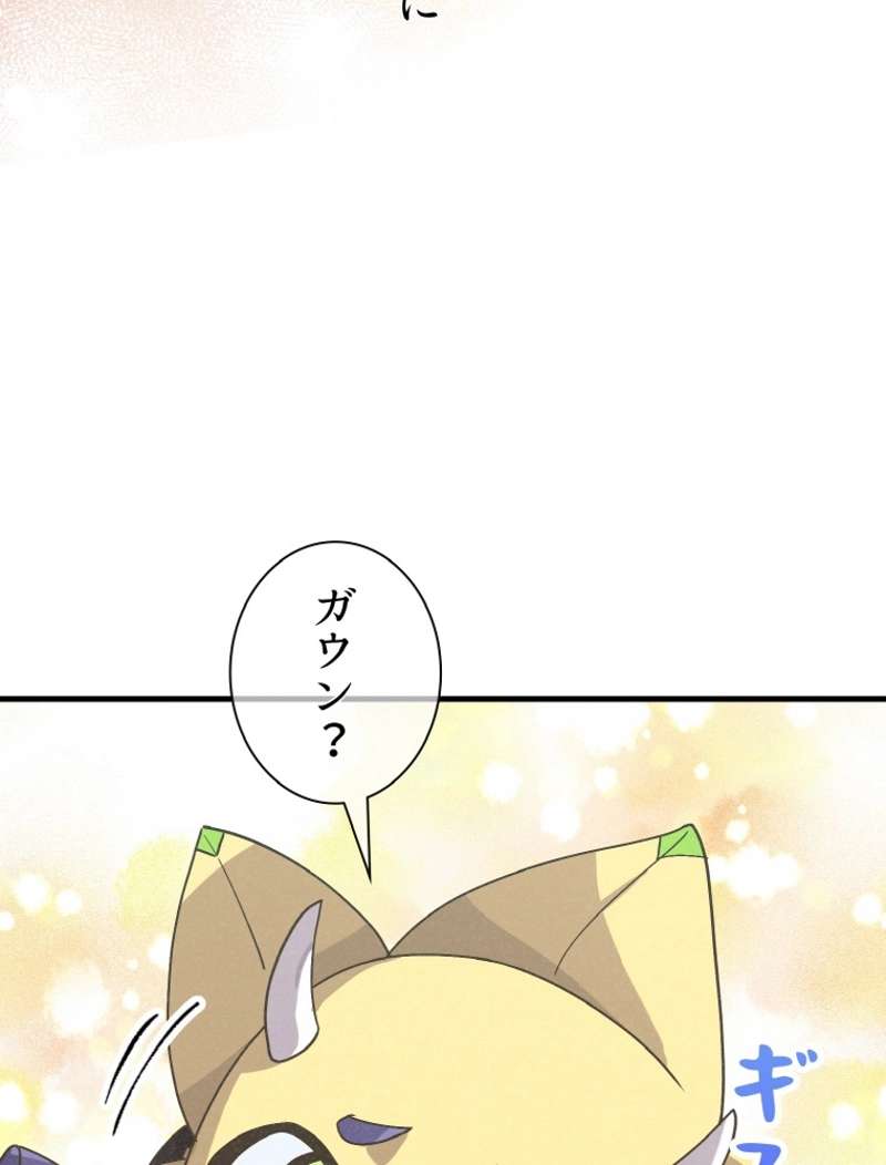 P113