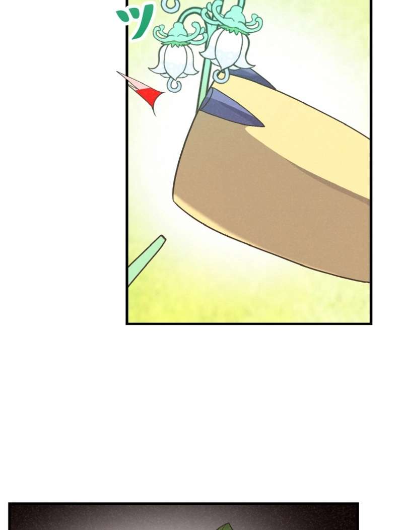 P51