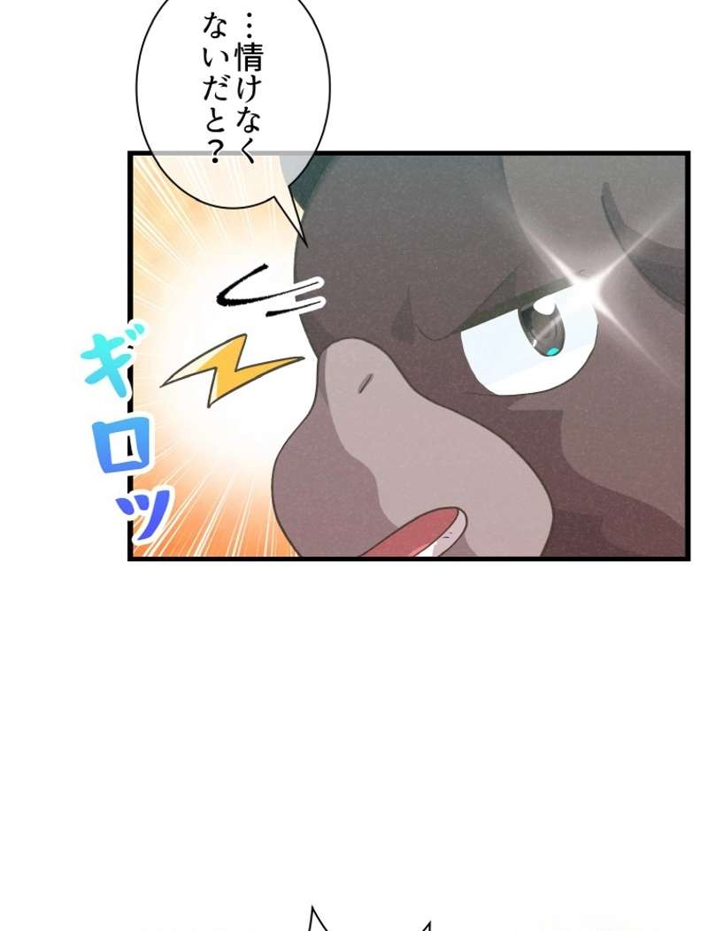 P48