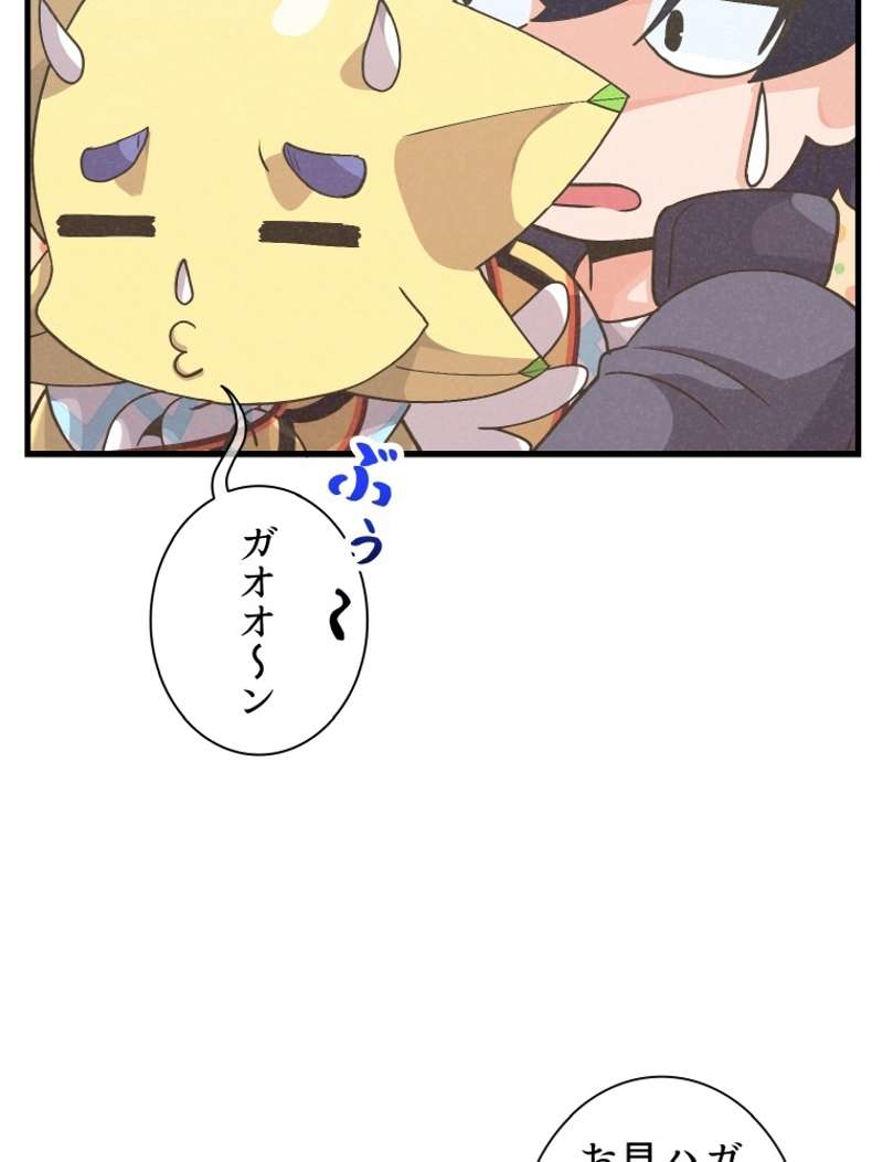P66