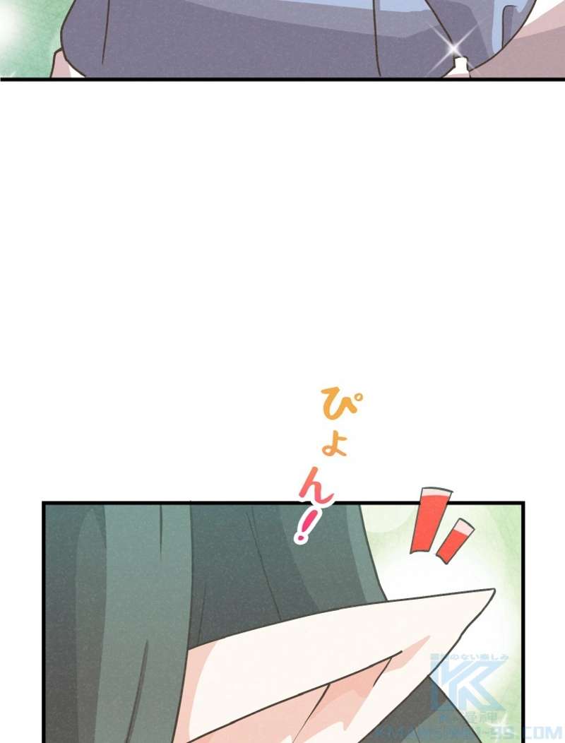 P133