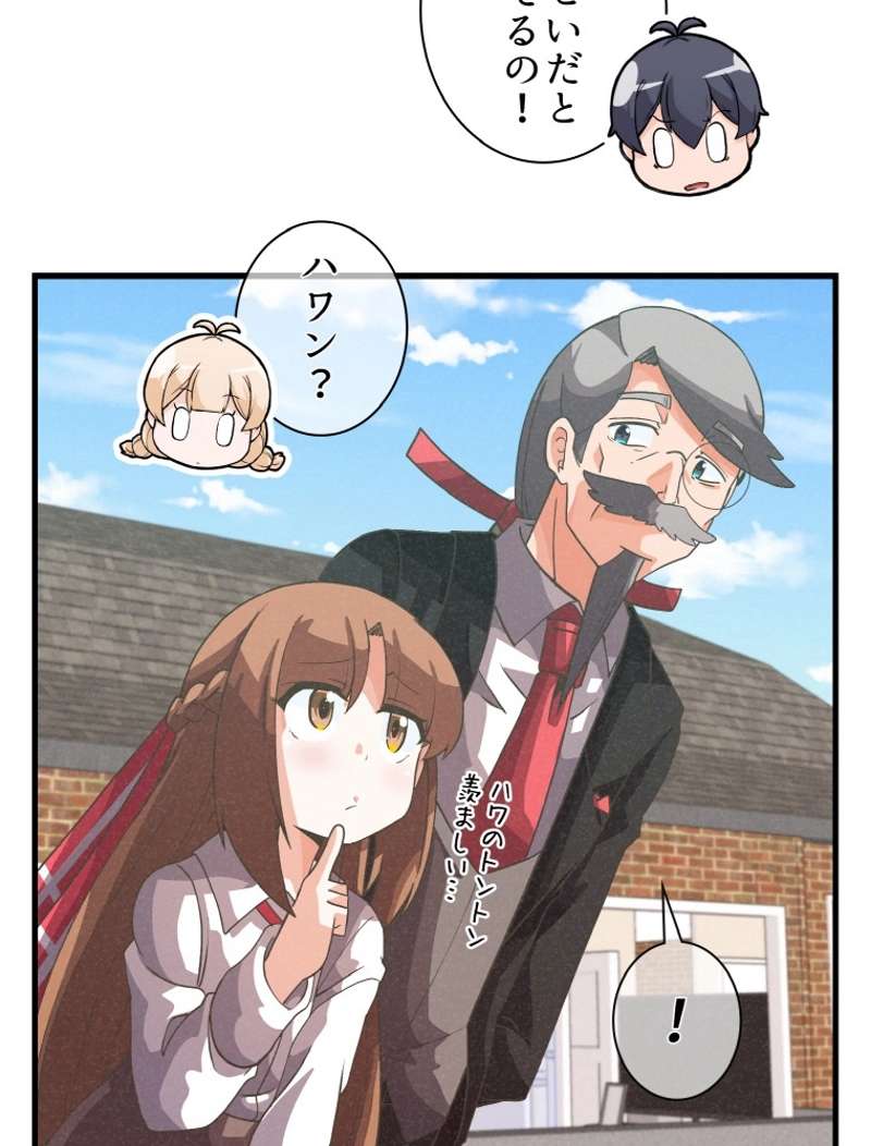P51