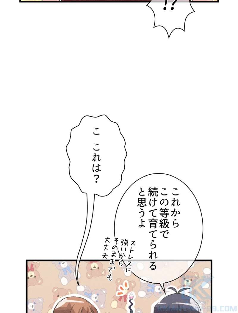 P65