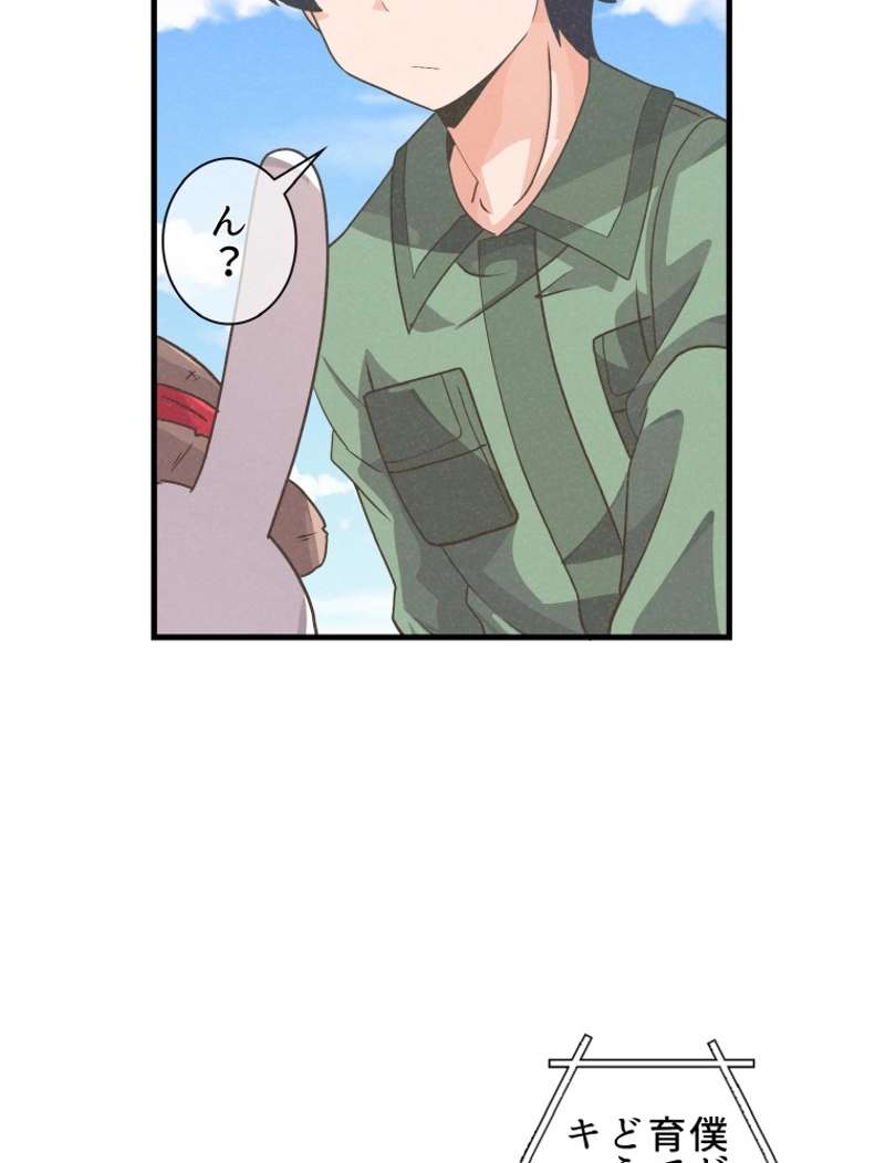 P78