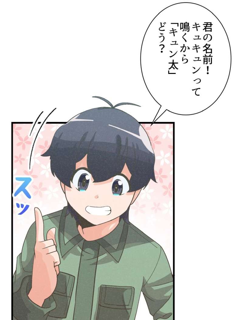 P88