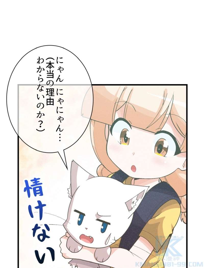 P55