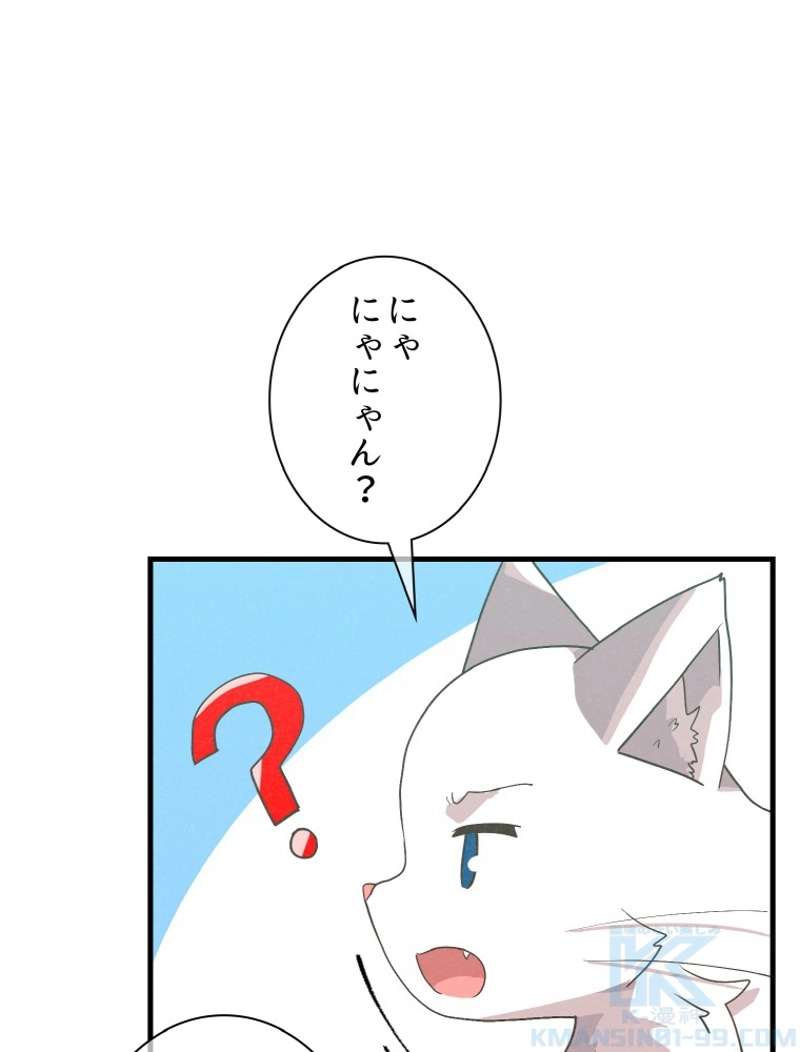 P67