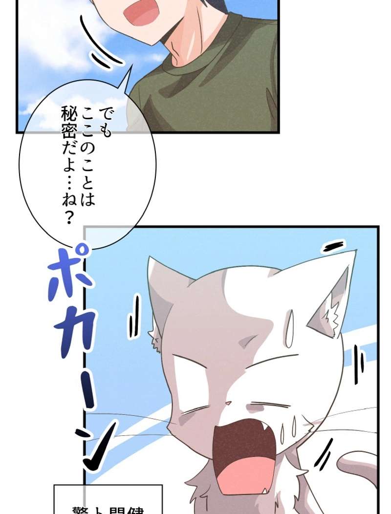P80