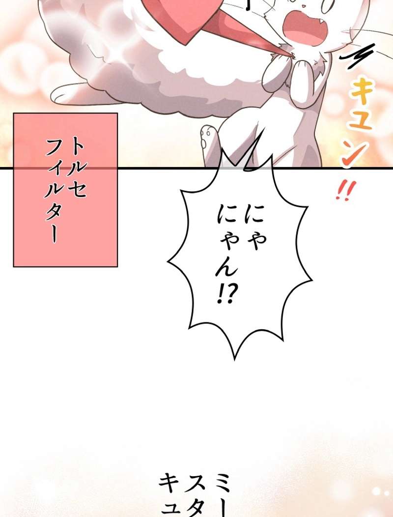 P86