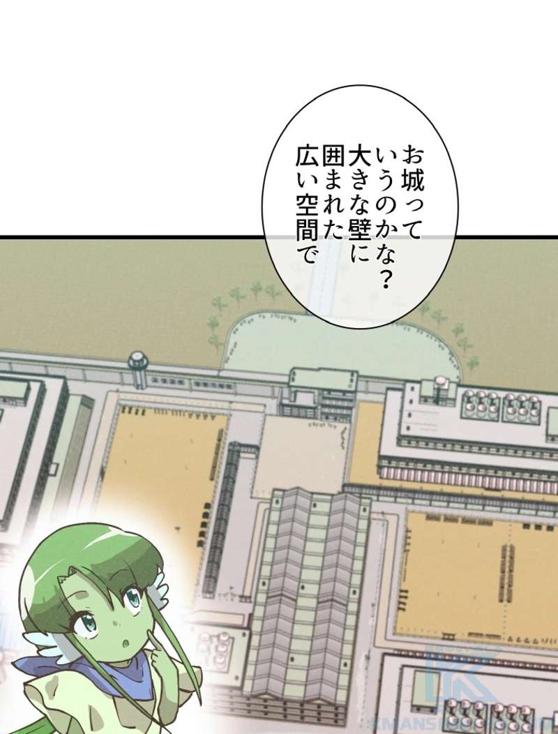 P79