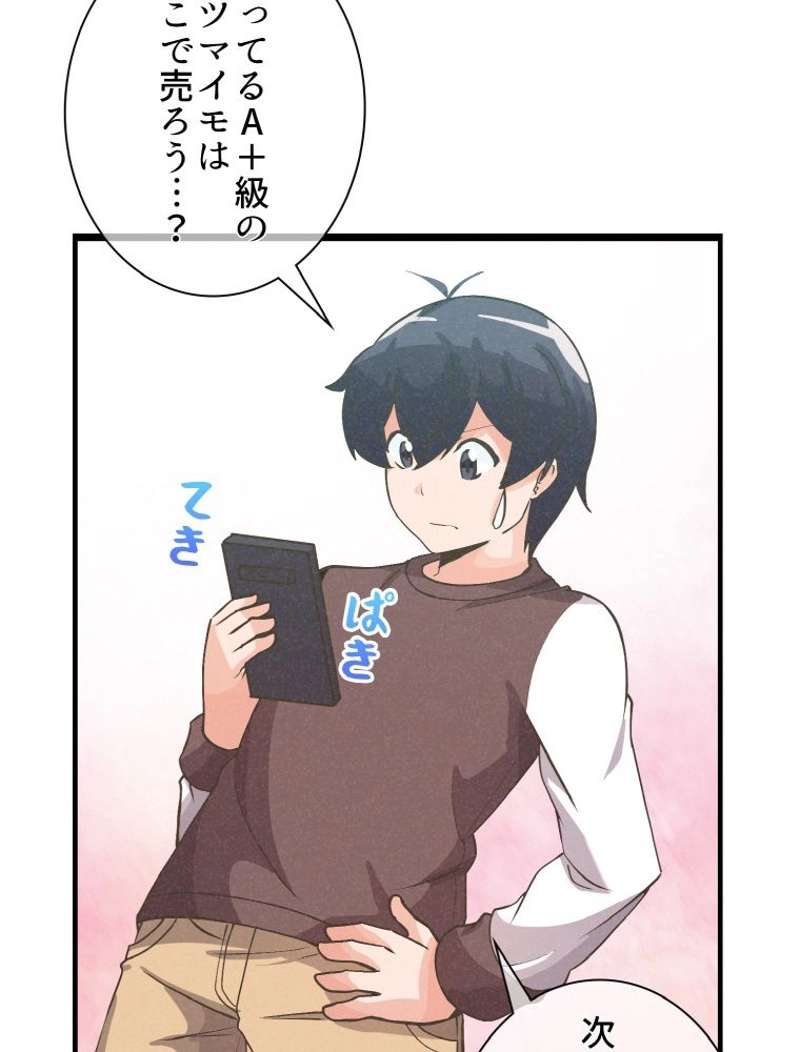 P24