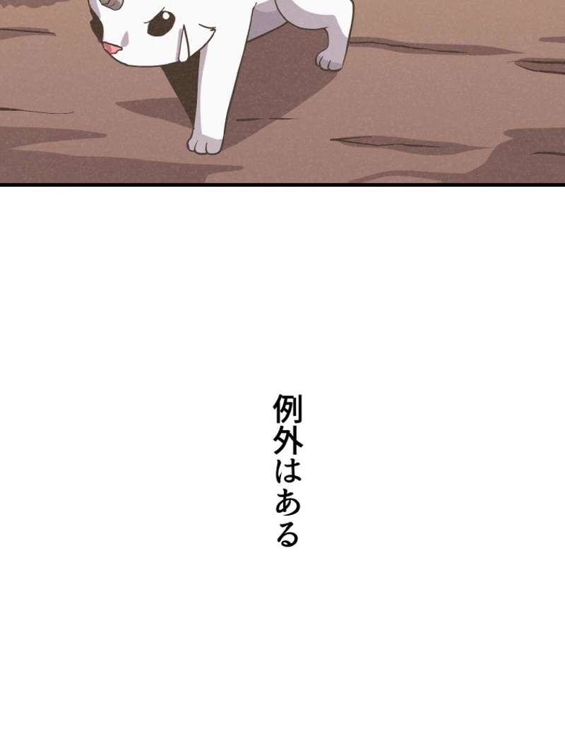 P67