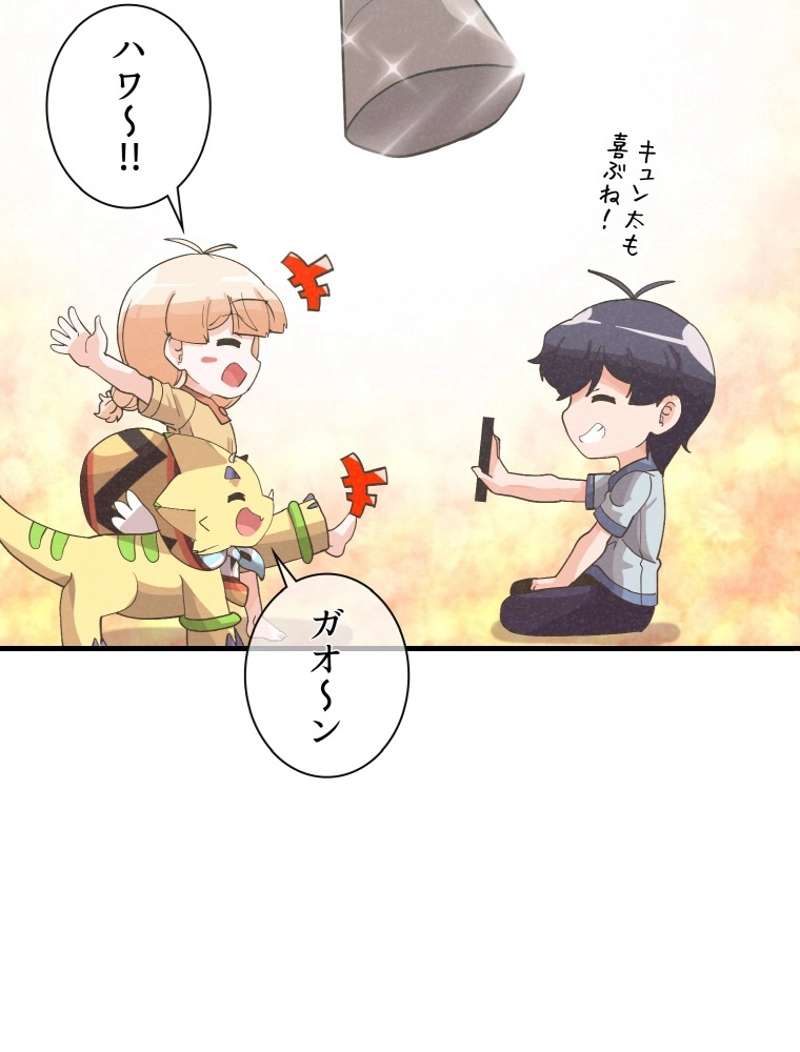 P51