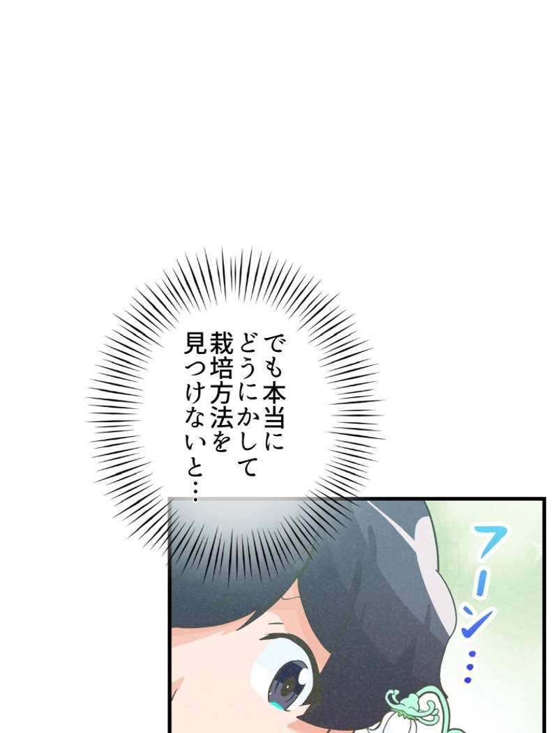 P66