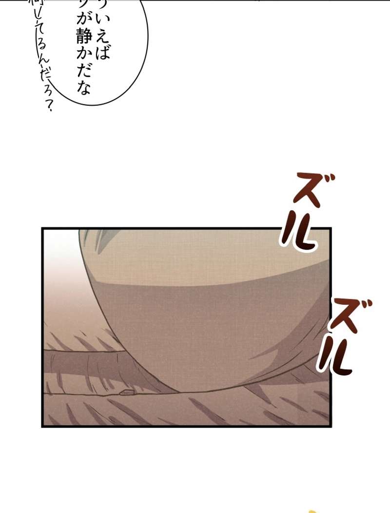 P40