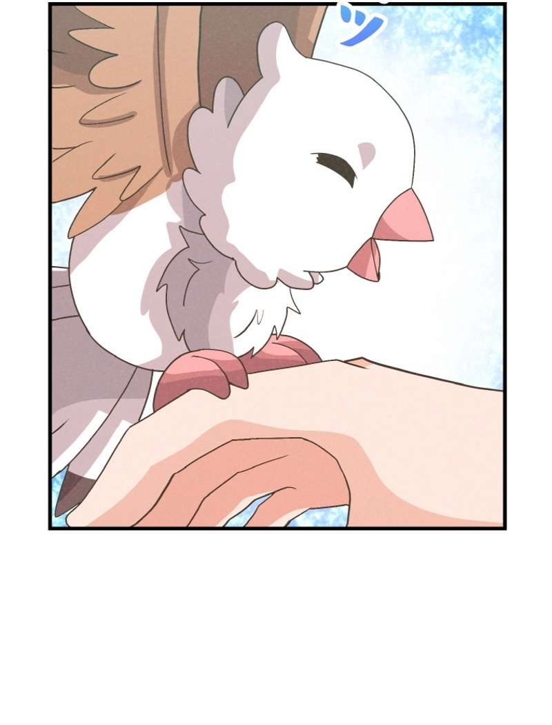 P68