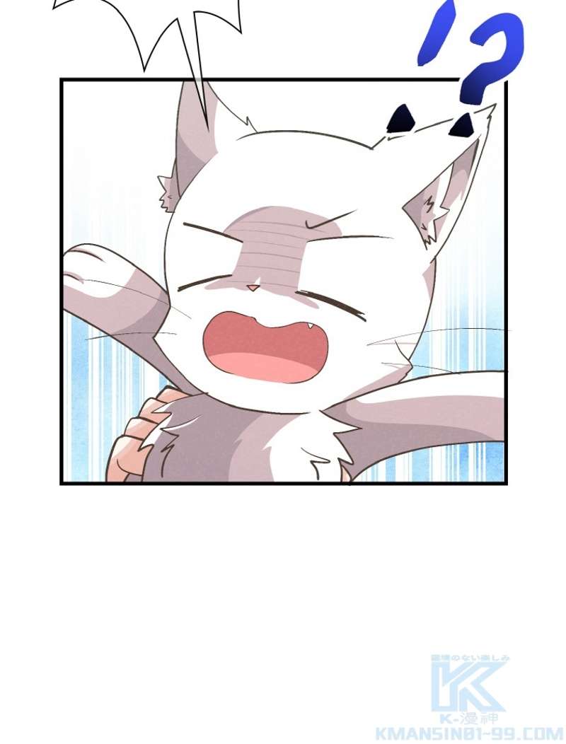 P58