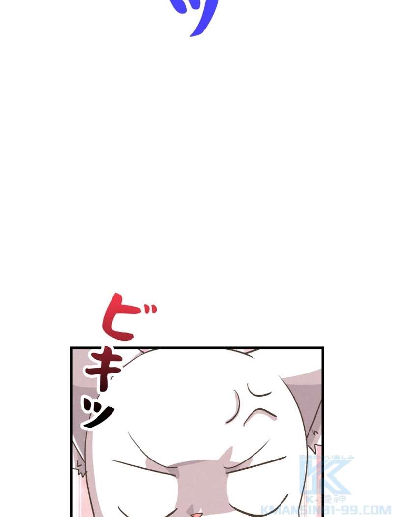 P61