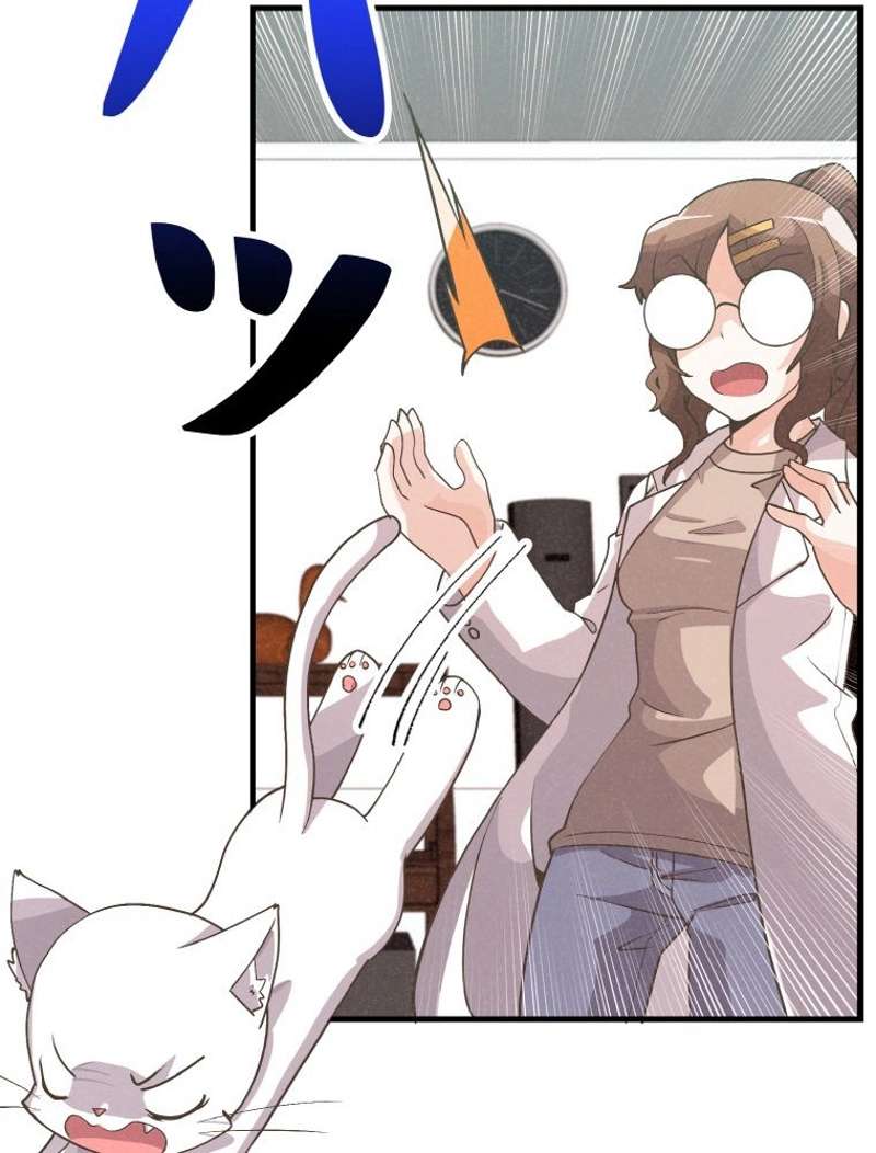 P63