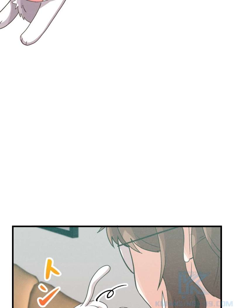 P64