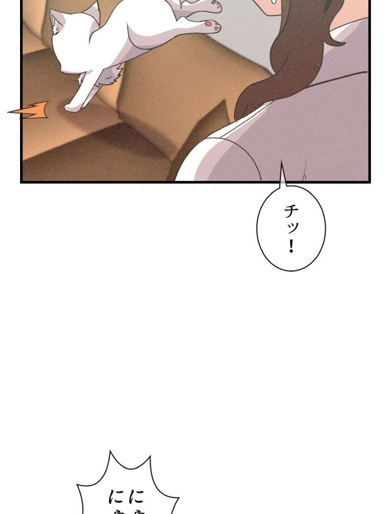 P65