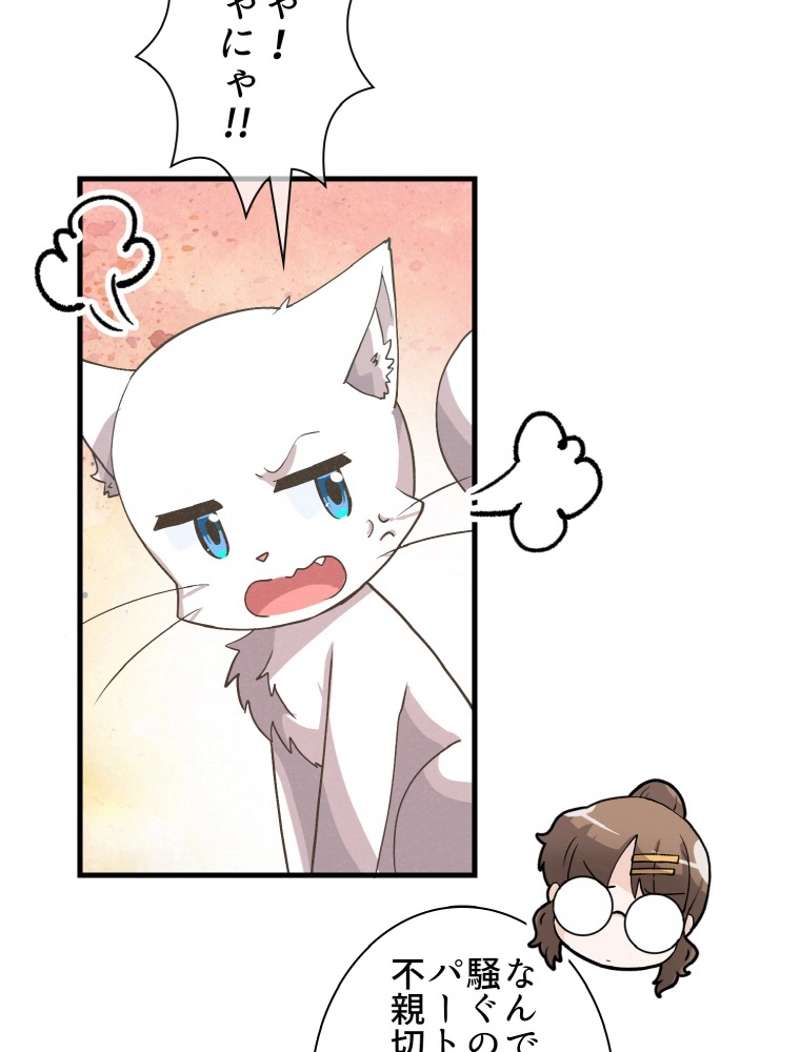 P66