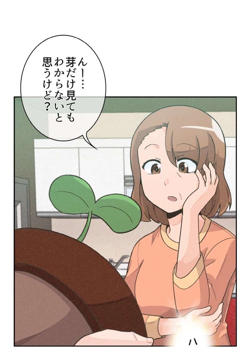 P42