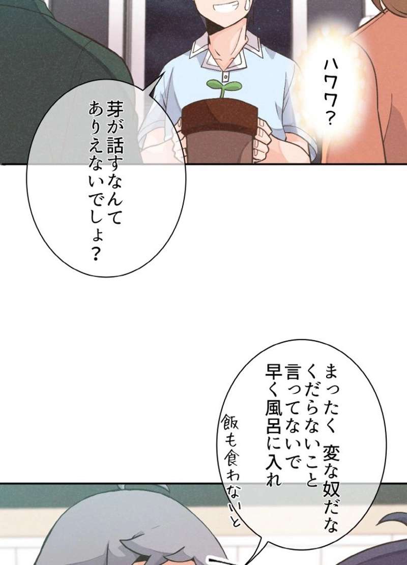 P48
