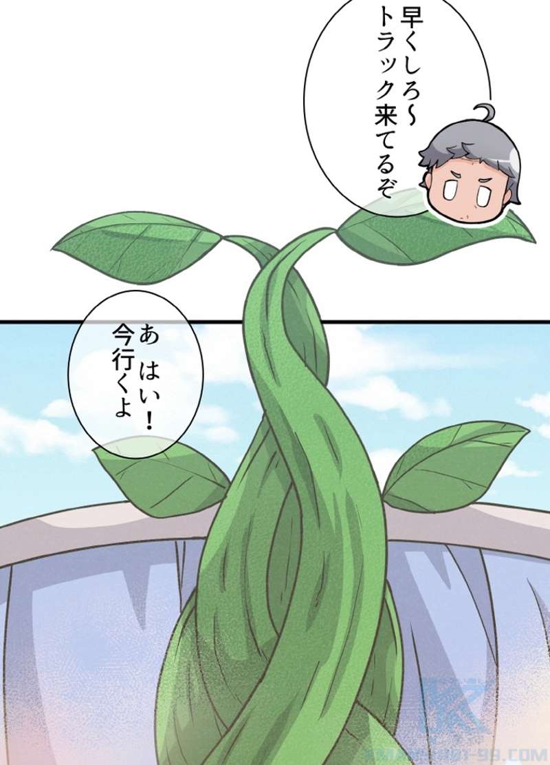 P68