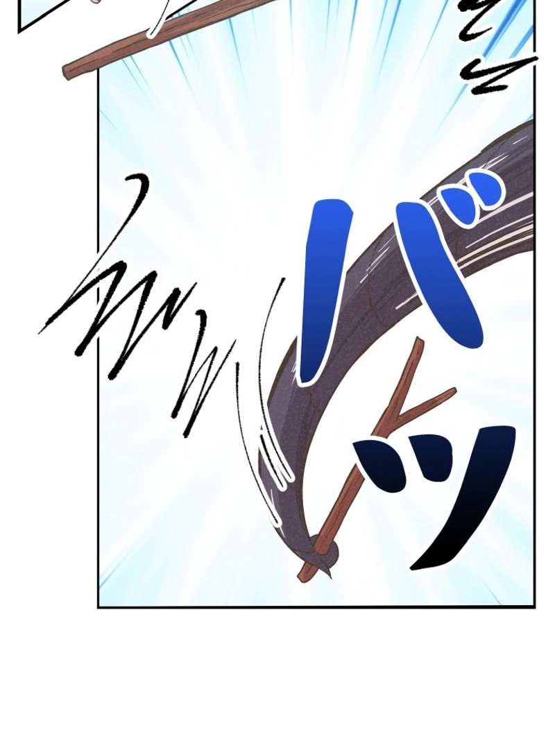 P66