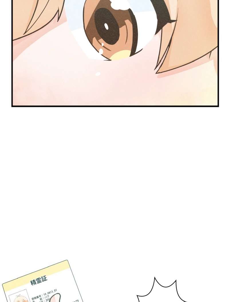 P66