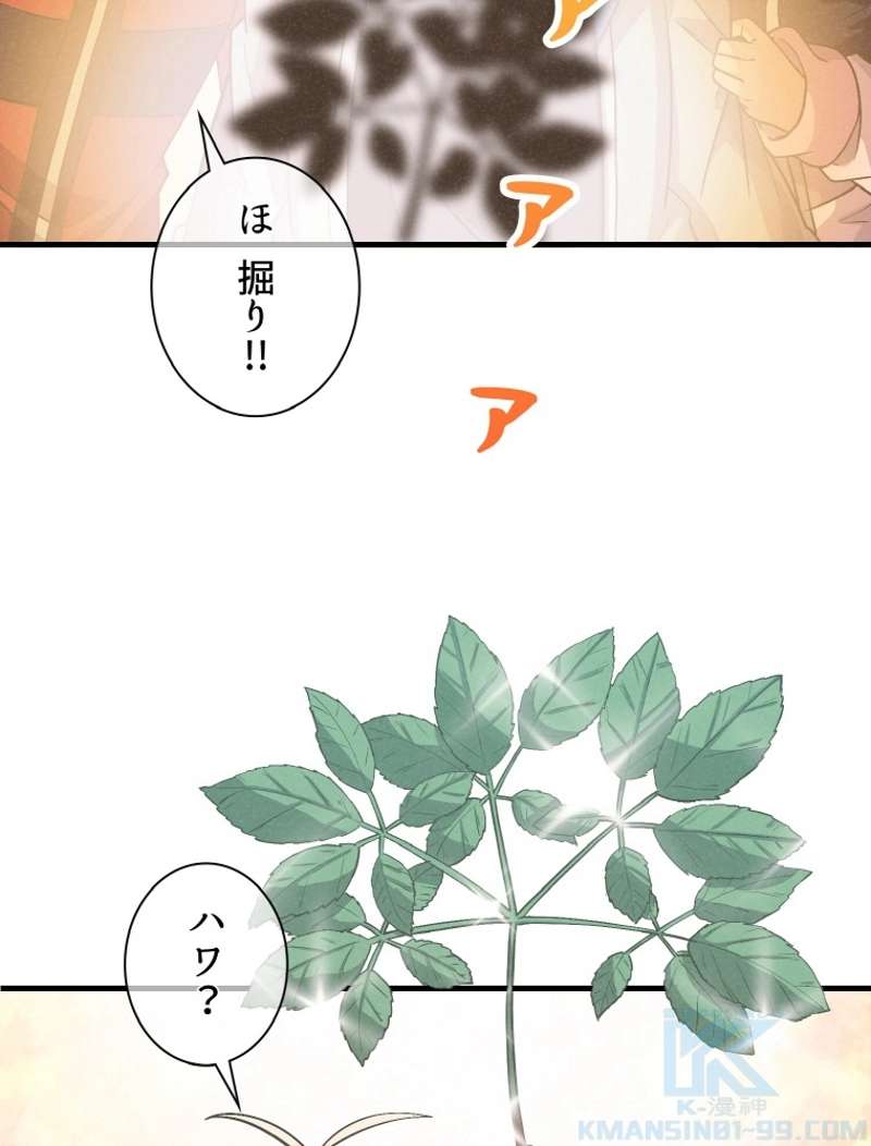 P44