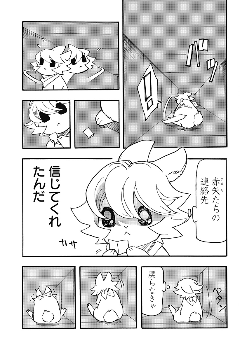 P11