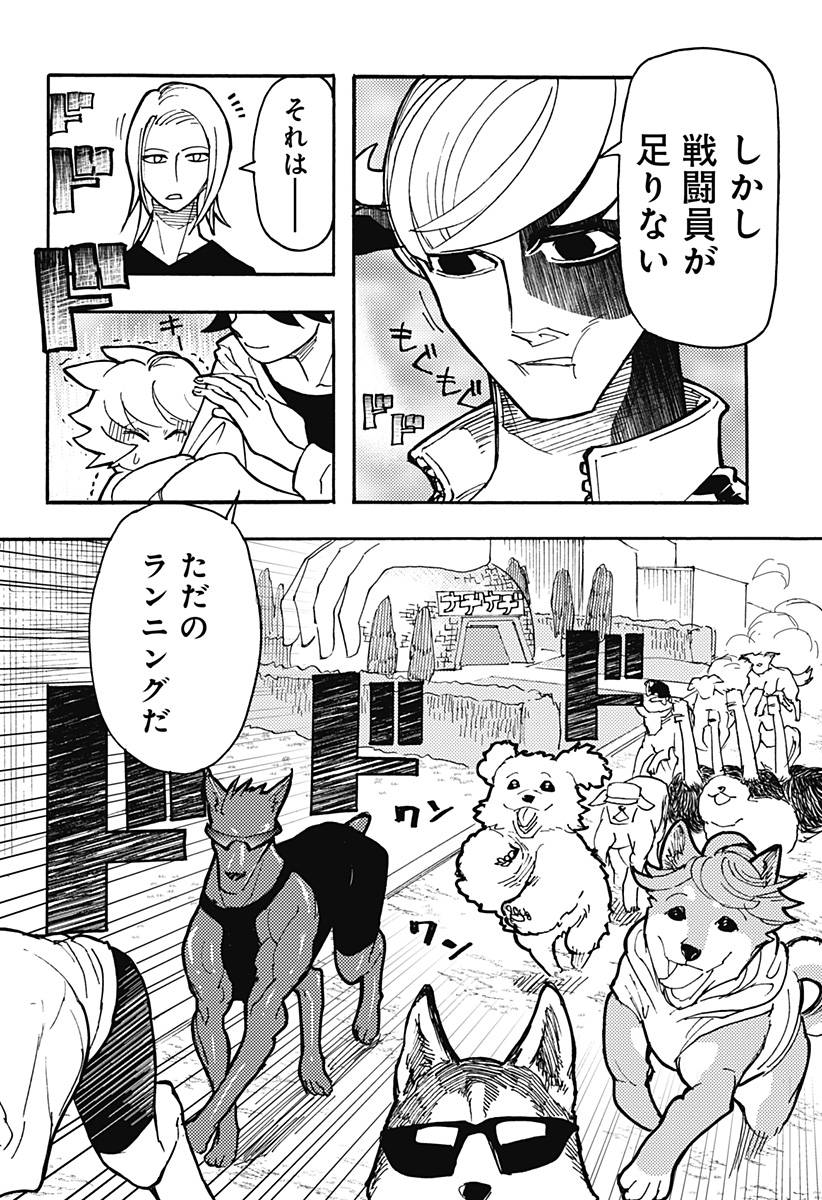 P12